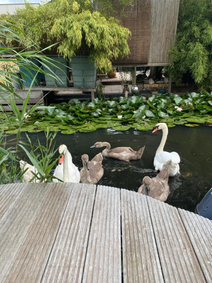 Casa Di Maksch De Miniatura Bed and Breakfast Άμστερνταμ Εξωτερικό φωτογραφία